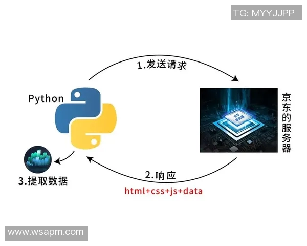 DOTA2新手必看技术入门指南助你快速掌握游戏技巧与策略