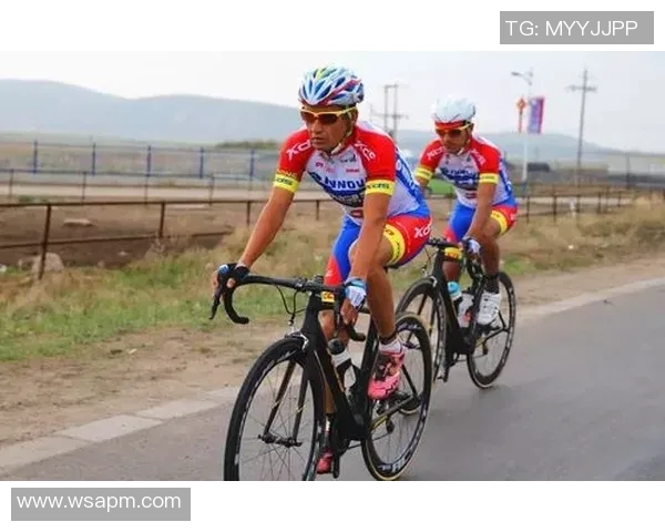 洲际赛中TES团队协作表现分析与评价探讨