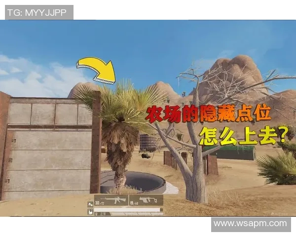 揭秘和平精英成功之道周敏专访分享背后故事与经验