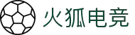 火狐电竞-助你从观赛到懂赛的进阶指南